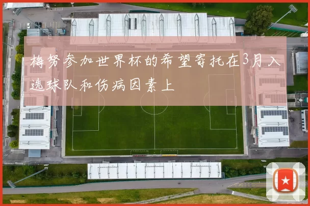 梅努参加世界杯的希望寄托在3月入选球队和伤病因素上