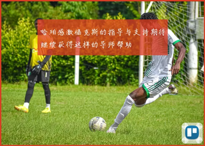 哈珀感激福克斯的指导与支持期待继续获得这样的导师帮助
